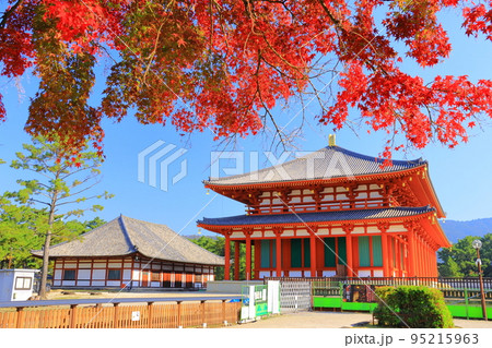 奈良公園（奈良市）興福寺　中金堂付近の紅葉 95215963