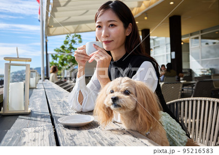 ドッグカフェで愛犬と過ごす女性 ドッグカフェで愛犬と過ごす女性 95216583
