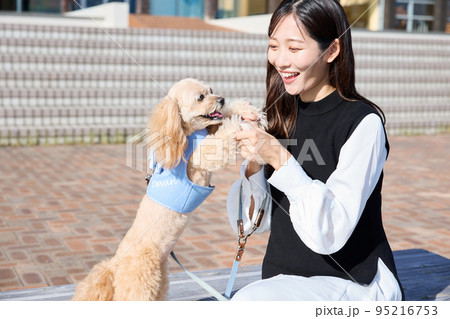 ヨットハーバーで犬と散歩をする女性 95216753