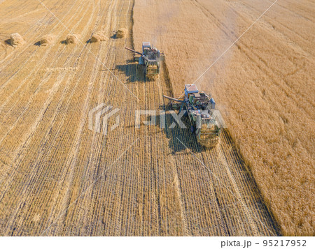 Harvest wheat grain and crop aerial view.Harvesting wheat,oats, barley in fields,ranches and farmlands.Combines mow in the field.Agro-industry.Combine Harvester Cutting on wheat filed.Machine harvest Harvest wheat grain and crop aerial view.Harvesting wheat,oats, barley in fields,ranches and farmlands.Combines mow in the field.Agro-industry.Combine Harvester Cutting on wheat filed.Machine harvest 95217952