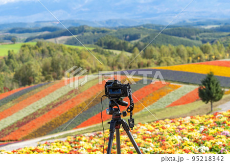 花畑に立ったカメラと三脚（全国旅行支援） 95218342