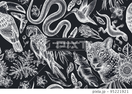 Tropical animals seamless pattern background design. Engraved style. Hand drawn leopard, snake, lizard, hummingbird, toucan, scarlet macaw, rajah brooke's birdwing, african giant swallowtail, monstera Tropical animals seamless pattern background design. Engraved style. Hand drawn leopard, snake, lizard, hummingbird, toucan, scarlet macaw, rajah brooke's birdwing, african giant swallowtail, monstera 95221921