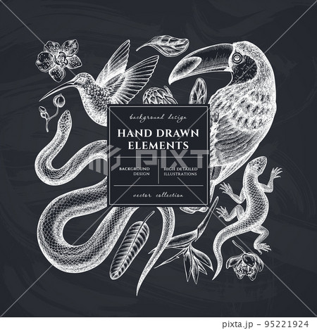 Tropical animals square card or invitation design. Frame design with snake, lizard, hummingbird, toucan, strelitzia, protea, phalaenopsis. 95221924