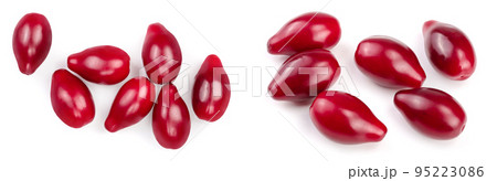 Red berries of cornel or dogwood isolated on white background. Top view. Flat lay 95223086