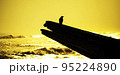 Silhouette of a crow or raven  95224890