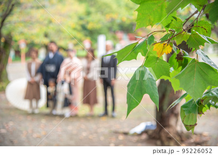 着物を着て家族で七五三の記念写真 95226052