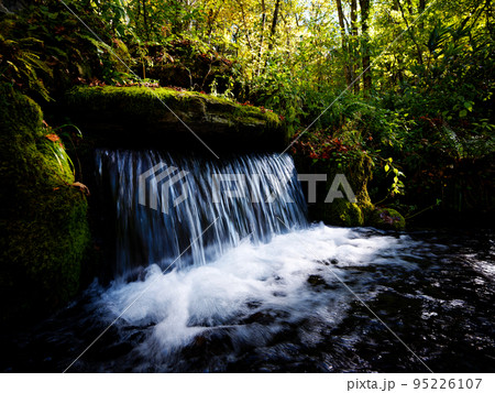 大雪山旭岳源水 大雪山旭岳源水 95226107