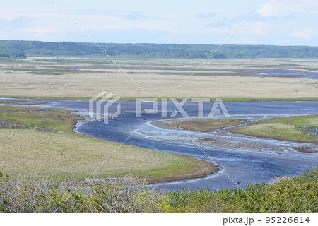 北海道浜中町の琵琶瀬展望台から見た琵琶瀬川が蛇行する広大な霧多布湿原の風景が美しい 95226614