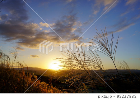 秋の夕日とすすきの原 95227835