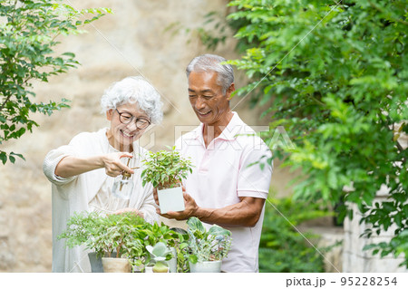 ガーデニングをするシニア夫婦 ガーデニングをするシニア夫婦 95228254