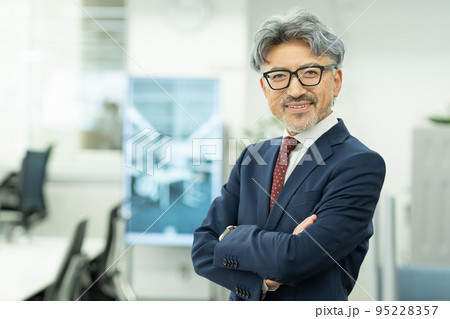 グレイヘアのミドルビジネスマン グレイヘアのミドルビジネスマン 95228357