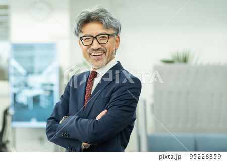 グレイヘアのミドルビジネスマン 95228359