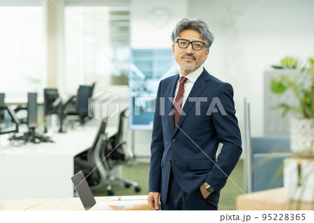 グレイヘアのミドルビジネスマン 95228365