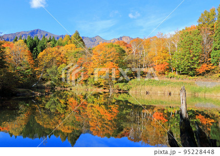 秋山郷の秋　錦秋の天池 95228448