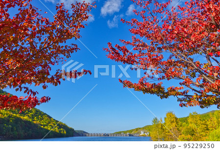 オタルナイ湖 紅葉 オタルナイ湖 紅葉 95229250