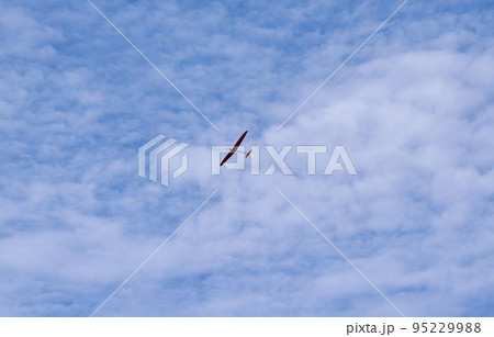 グライダーを秋空に飛ばす趣味の世界 95229988