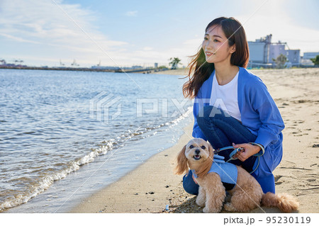 犬と海辺で遊ぶ女性 犬と海辺で遊ぶ女性 95230119