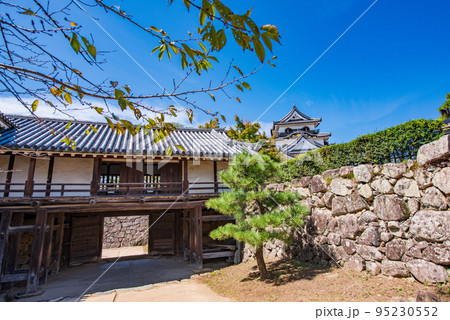 滋賀県　彦根城　太鼓門櫓と天守 95230552