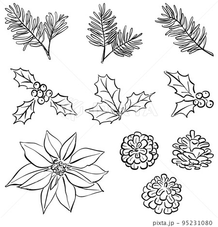ナチュラルな植物の線画　1色 95231080