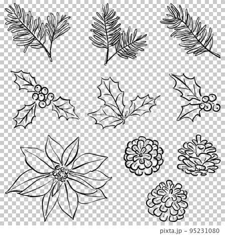 ナチュラルな植物の線画　1色 95231080
