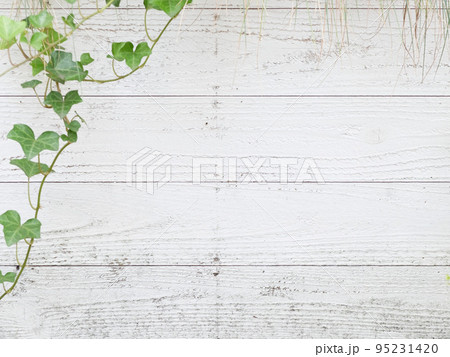 アイビーと木の背景素材 アイビーと木の背景素材 95231420