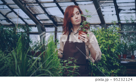 Pretty red-haired woman is spraying green plants and checking seedlings inside spacious greenhouse. Profession, growing flowers, workplace and people concept. 95232124
