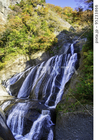 茨城県　日本三大名瀑　袋田の滝　紅葉 95233866