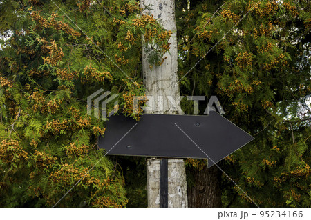 a pointer arrow a pointer arrow 95234166