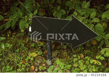 a pointer arrow in the forest 95234168