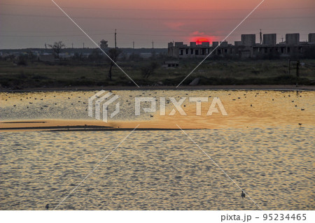 a shallow salt lake near the Azov sea on sunset, Arabat Spit, Ukraine a shallow salt lake near the Azov sea on sunset, Arabat Spit, Ukraine 95234465