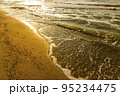close-up a sea beach, Azov sea, Ukraine 95234475