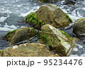 close-up of the sea and stones, Azov sea, Ukraine 95234476