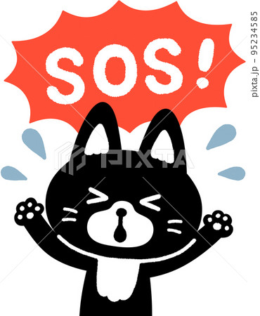 猫_sos 95234585