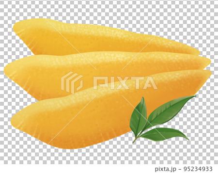 数の子とナンテンの葉のリアルなテイストの美味しそうな手描きイラスト 数の子とナンテンの葉のリアルなテイストの美味しそうな手描きイラスト 95234933