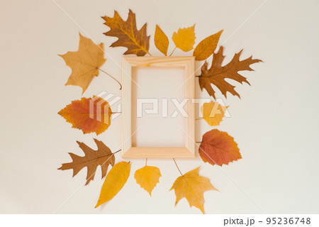 Colorful autumn leaves around a wooden frame. Copy Space Colorful autumn leaves around a wooden frame. Copy Space 95236748