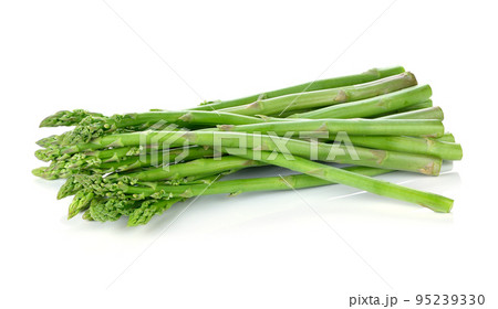 asparagus isolated on a white background 95239330