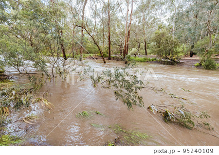 Melbourne Flood Emergency 2022 Melbourne Flood Emergency 2022 95240109