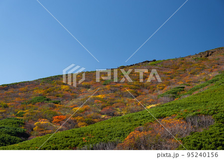 紅葉する御嶽山 95240156