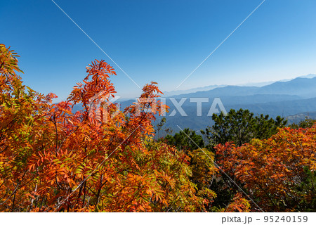 紅葉する御嶽山 紅葉する御嶽山 95240159