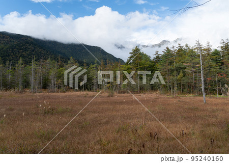 上高地の風景 95240160
