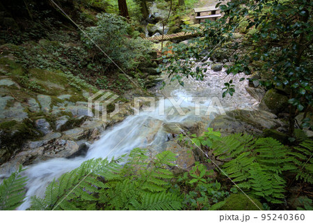清賀の滝　雷山　糸島の風景　 95240360