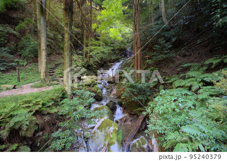 清賀の滝　雷山　糸島の風景　 95240379