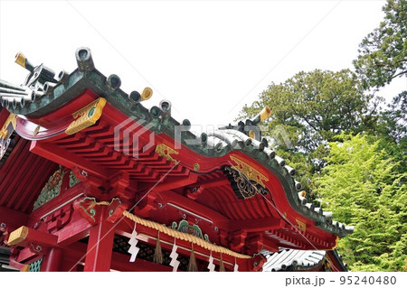 箱根神社 初夏 箱根神社 初夏 95240480