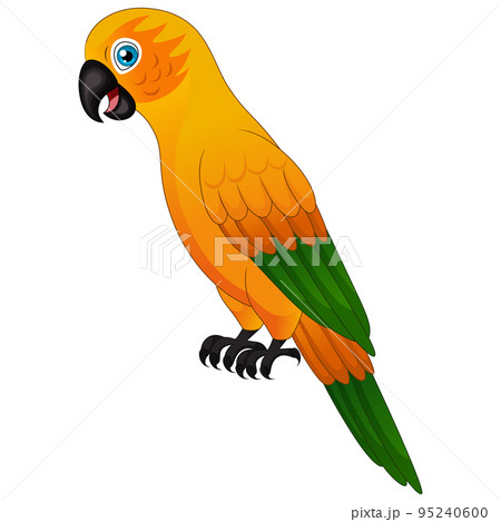 Cute macaw parrot on white background 95240600