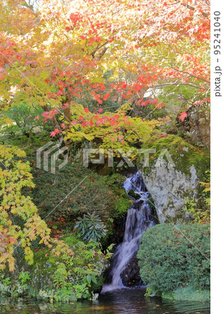 箱根美術館 日本庭園秋 箱根美術館 日本庭園秋 95241040