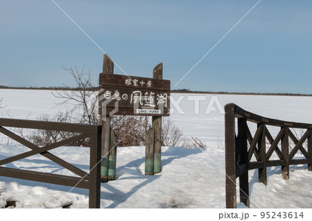 野鳥の楽園 風蓮湖冬景色 野鳥の楽園 風蓮湖冬景色 95243614