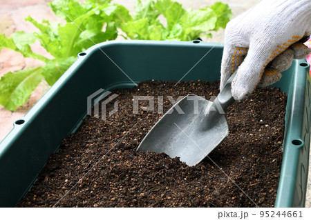 プランター栽培の準備をする人物の手元 プランター栽培の準備をする人物の手元 95244661