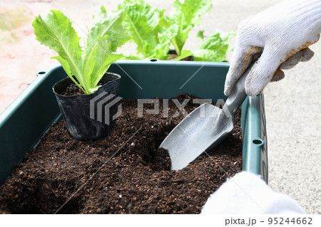 プランター栽培の準備をする人物の手元 95244662