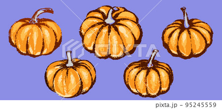 Pumpkin set for decoration halloween or thanksgiving day holidays Pumpkin set for decoration halloween or thanksgiving day holidays 95245559
