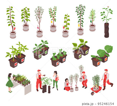 Isometric Nursery Garden Set Isometric Nursery Garden Set 95246154